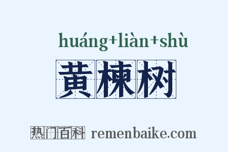 黄楝树是什么意思的图片